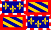 Flag Of Burgundy Clip Art